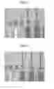 Fig. 03 - Photosensitive resin composition and light blocking layer using the same