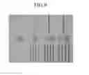 Fig. 06 - Photosensitive resin composition and light blocking layer using the same
