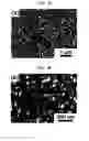 Fig. 04 - LASER-INDUCED STRUCTURING OF SUBSTRATE SURFACES