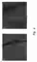 Fig. 03 - Production of vertical arrays of small diameter single-walled carbon nanotubes