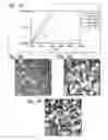 Fig. 04 - Organic semiconductor interface preparation