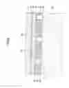 Fig. 10 - LIGHT EMITTING DEVICE
