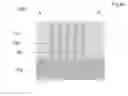 Fig. 09 - Oxide Based LED BEOL Integration