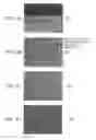 Fig. 04 - Semiconductor light emitting element