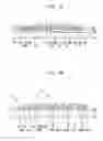 Fig. 04 - Display substrate and method of manufacturing the same