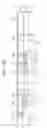 Fig. 40 - Semiconductor device and method for manufacturing the same