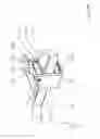 Fig. 27 - Bearing mechanism for a transverse leaf spring