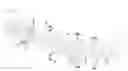 Fig. 01 - Energy absorbing structure for vehicle bumper