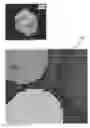 Fig. 01 - Apparatus, method and computer-accessible medium for determination of electrical properties of tissues and materials using multiple radio frequency measurements