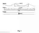Fig. 05 - Multi-dimensional cardiac and respiratory imaging with MRI