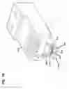 Fig. 19 - Single-piece plug nose with multiple contact sets