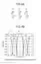 Fig. 05 - Phased array antenna and its phase calibration method