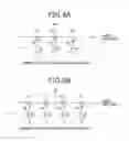 Fig. 10 - Phased array antenna and its phase calibration method