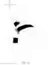 Fig. 09 - WEARABLE POINTING DEVICE