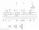 Fig. 01 - Display device and method of manufacturing the same