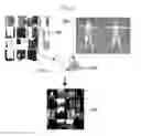Fig. 09 - APPARATUS AND METHOD FOR GENERATING DIGITAL ACTOR BASED ON MULTIPLE IMAGES