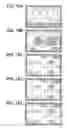 Fig. 10 - MANIPULATION INFORMATION INPUT APPARATUS