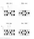 Fig. 10 - DISPLAY APPARATUS