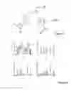 Fig. 03 - 3D image generation