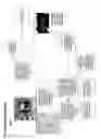 Fig. 08 - VIDEO CAMERA SYSTEM