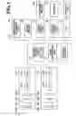 Fig. 02 - ERRONEOUS ERASURE DETERMINATION APPARATUS, METHOD AND COMPUTER PROGRAM PRODUCT, AND IMAGE GENERATION APPARATUS