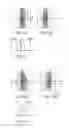 Fig. 06 - IMAGE PICKUP APPARATUS AND CONTROL METHOD THEREOF