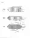 Fig. 03 - LIQUID CRYSTAL DISPLAY ELEMENT
