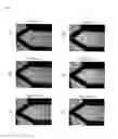 Fig. 10 - LIQUID CRYSTAL DISPLAY ELEMENT