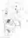 Fig. 02 - 3D gaze tracker