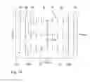 Fig. 16 - Imaging optical system and illumination optical system