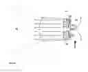 Fig. 08 - Lithographic apparatus and device manufacturing method
