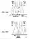 Fig. 31 - Apparatus and method for measuring optical characterstics of an object