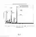 Fig. 05 - Nanowire arrays comprising fluorescent nanowires