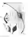 Fig. 05 - Purselight with EL and LED light sources