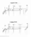 Fig. 35 - Three dimensional non-volatile storage with asymmetrical vertical select devices