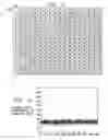Fig. 06 - Wireless communications system with secondary synchronization code based on values in primary synchronization code