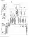 Fig. 06 - Network entity, a wireless communication unit and methods for access to a remote private IP network and supporting thereof