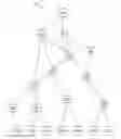 Fig. 01 - Methods and apparatus for network multicasting using hierarchical replication