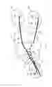 Fig. 08 - Method of supporting an open provider backbone network