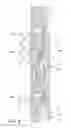 Fig. 05 - Nuclear reactor internal electric control rod drive mechanism assembly