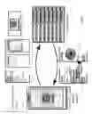 Fig. 04 - Mobile biometrics information collection and identification