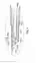 Fig. 06 - Writing utensil