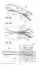 Fig. 21 - Method for producing hollow body elements, hollow body element, component, follow-on composite tool for producing hollow body elements