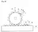 Fig. 19 - Mold set for paper binding
