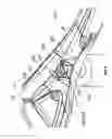 Fig. 09 - Rotor coupling