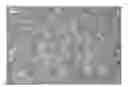 Fig. 01 - Nanowire preparation methods, compositions, and articles