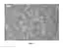 Fig. 02 - Nanowire preparation methods, compositions, and articles