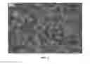 Fig. 04 - Nanowire preparation methods, compositions, and articles
