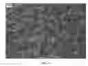 Fig. 06 - Nanowire preparation methods, compositions, and articles