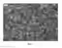 Fig. 08 - Nanowire preparation methods, compositions, and articles